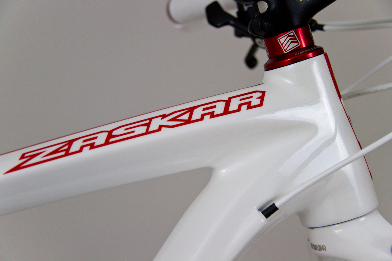 GT Zaskar Carbon 9r Expert 29