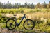 Bild von GT-E Pantera Bolt 29" Trail E-Bike 2020