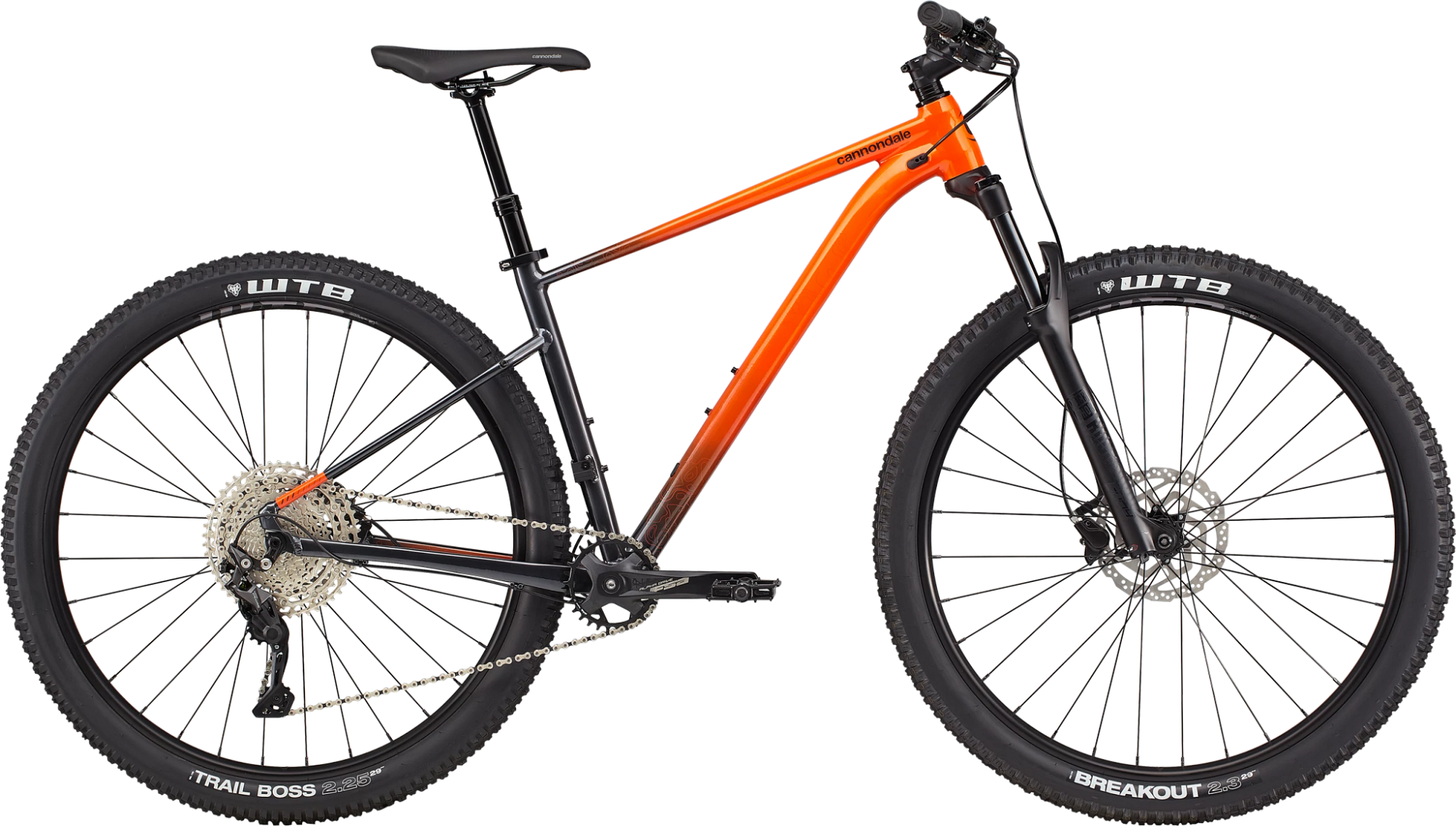 Bild von Cannondale Trail SE 3 29" Trail Bike 2022