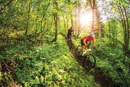 Bild für Kategorie Trail Bikes