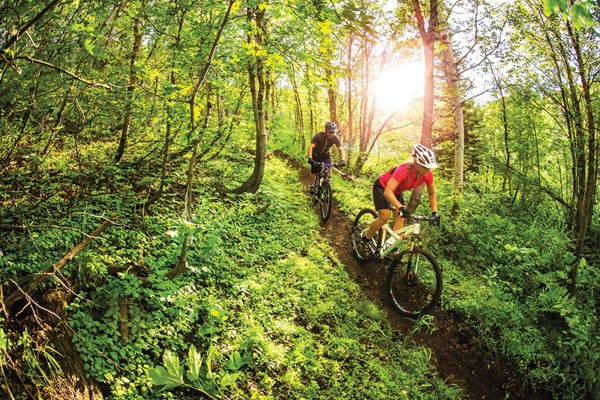 Trail Bikes at The Cyclery