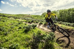 Picture for category All Mountain Bikes